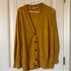 Ann Taylor XL Cardigan